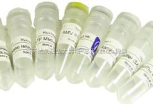 CAS:88050-17-3,Fmoc-L-羥脯氨酸,N-芴甲氧羰基-L-羥脯氨酸,Fmoc-Hyp_上海陽光試劑 _阿儀網