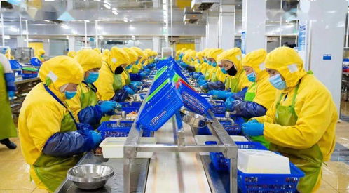 搶生產,保供應 國聯水產多措并舉硬核保障全國春節預制菜供應