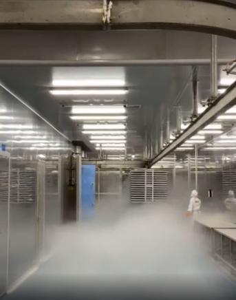 探廠國內寵物食品凍干廠 國產凍干品質如何，L-羥脯氨酸生產的關鍵作用